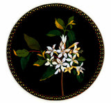 Tablemats: Mrs Delany's Flower Collages