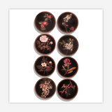 Coasters: Mrs. Delany’s Flower Collages